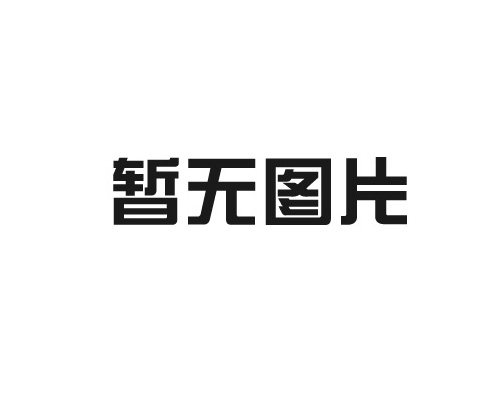 UPS人臉識(shí)別門(mén)禁電源